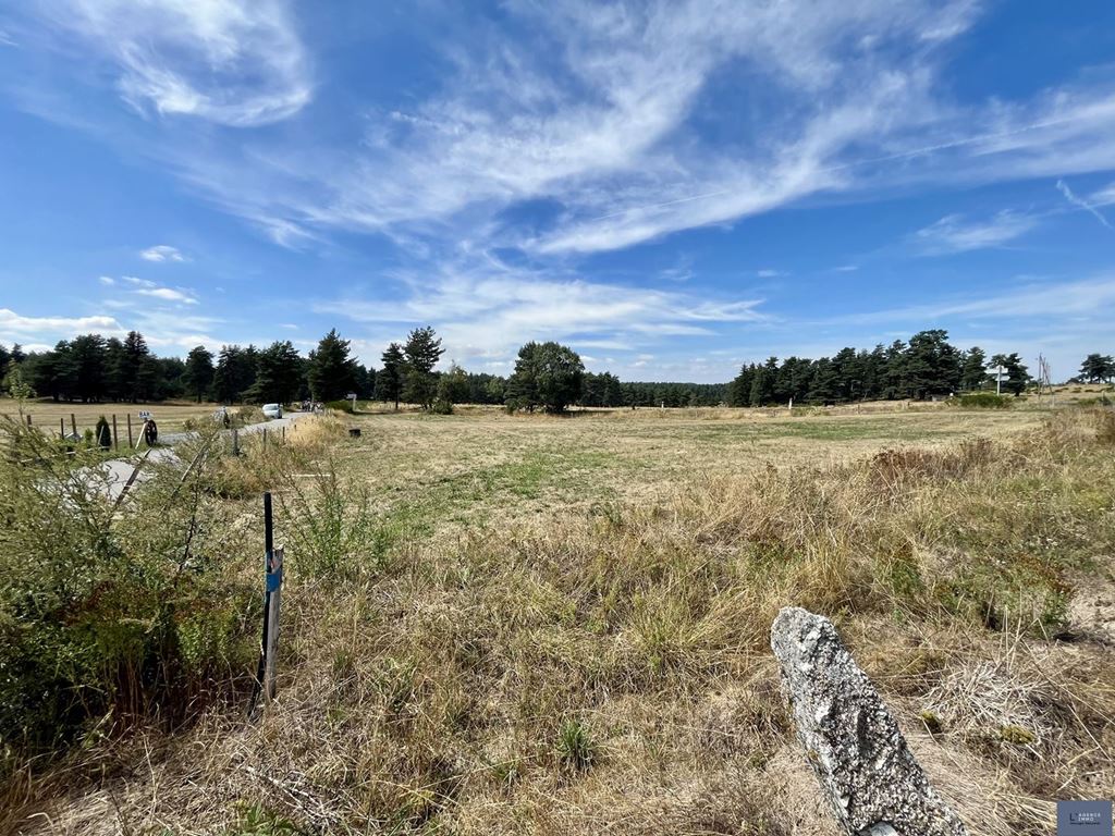 Terrain Peyre en Aubrac (48130) L'AGENCE IMMO