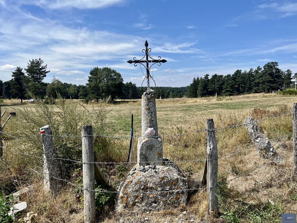 Terrain Peyre en Aubrac (48130) L'AGENCE IMMO